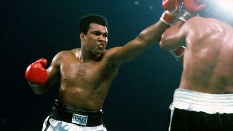 Топ-10 самых богатых боксеров мира