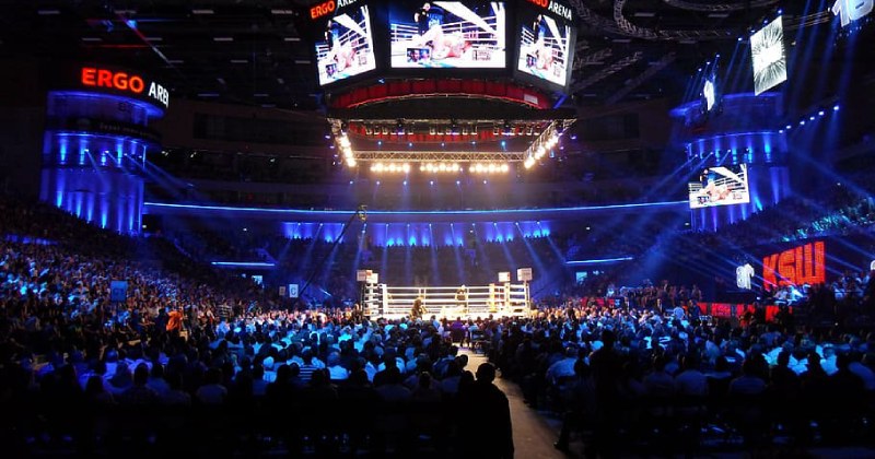 Специфика ставок на борьбу