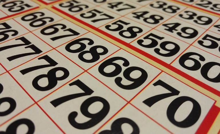 Все что нужно знать о бинго в 2023-м